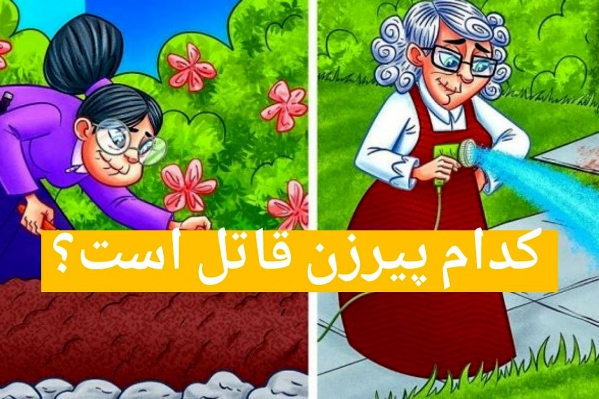 بگو کدوم پیرزن قاتل است؟