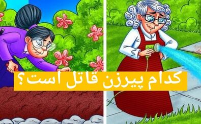 بگو کدوم پیرزن قاتل است؟