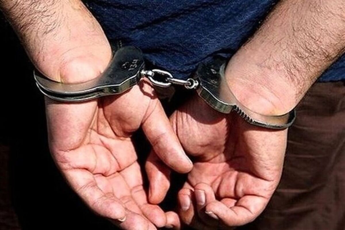  ۱۰۰ فقره سرقت در پایتخت کشف شد

