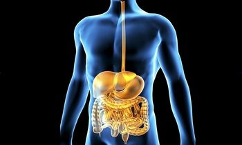 تصاویری از بدن انسان که تا کنون ندیده‌اید