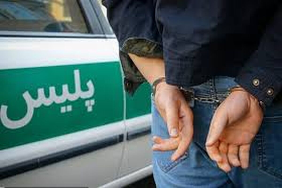 بلاگر پرحاشیه اینستاگرام دستگیر شد