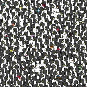 3 گربه حریص را که بین پنگوئن‌ها پنهان شده‌اند، پیدا کنید!