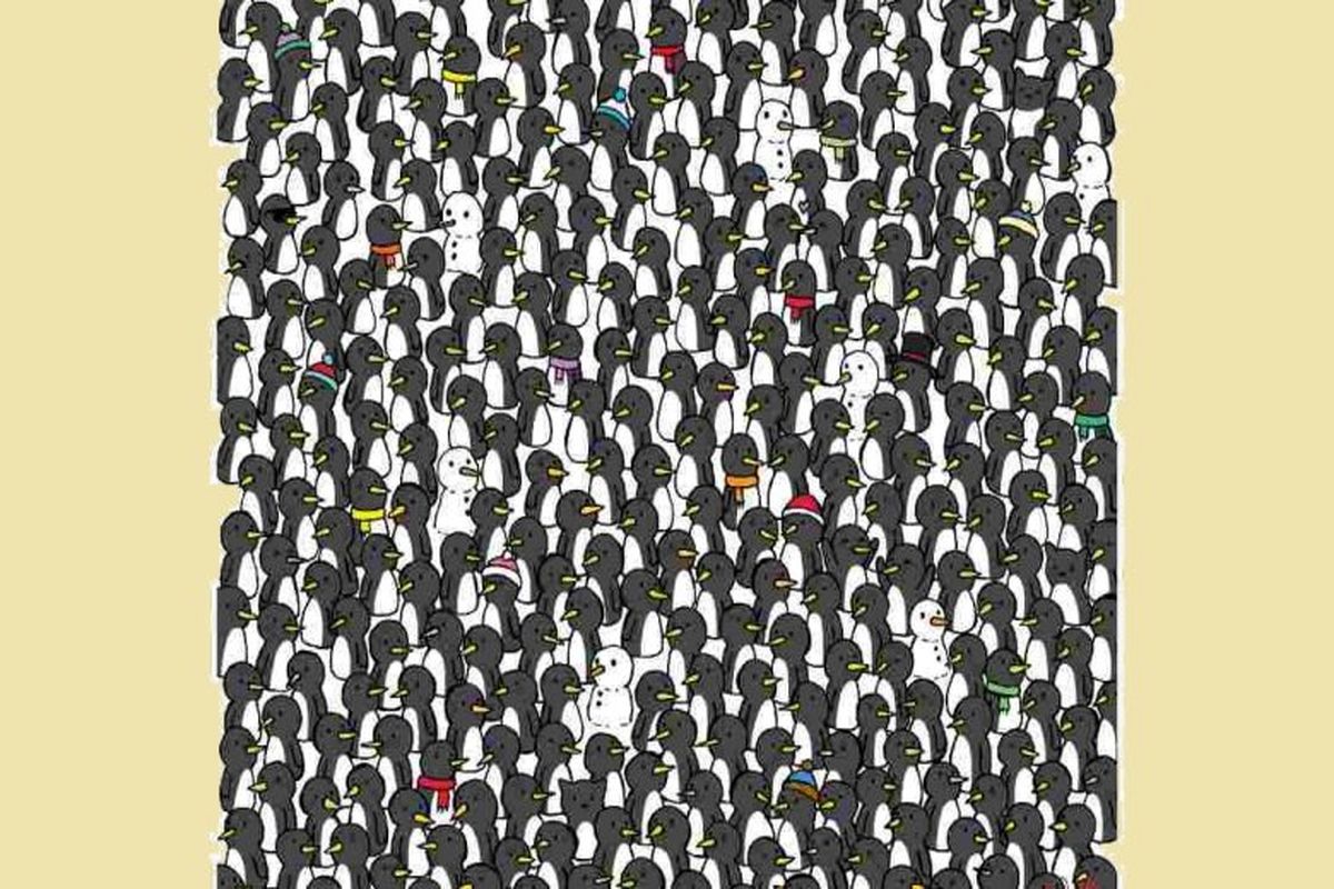 3 گربه حریص را که بین پنگوئن‌ها پنهان شده‌اند، پیدا کنید!