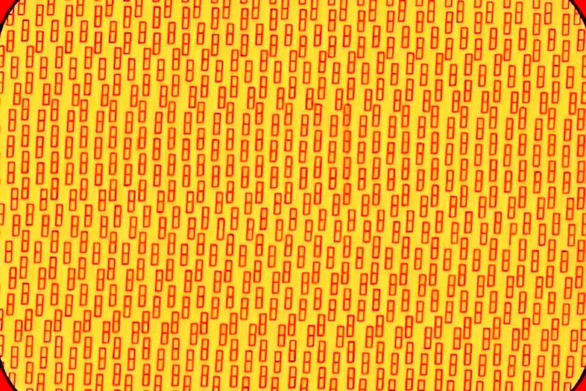 حرف P مخفی را در عرض چند ثانیه پیدا کنید!