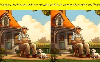 با پیدا کردن 3 تفاوت در این دو تصویر توانایی خود را بیازمایید