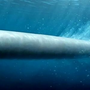 رونمایی روسیه از سلاح روز قیامت/ موشک پوسایدون چیست؟