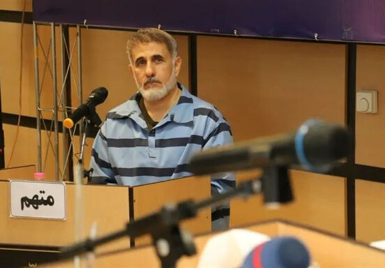 حکم حبس و مصادره برای ساعدی نیا