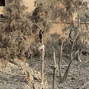 آخرین پیامک دختر ۲۷ ساله از زیر آوار