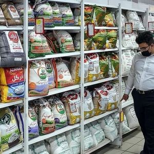 کابوس گرانی برنج؛ چرا قیمت‌ها پایین نمی‌آید؟
