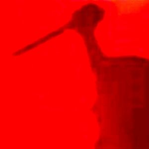 قتل تلخ زن ۱۶ساله به دست همسرش در عجب‌شیر