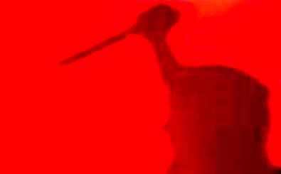 قتل تلخ زن ۱۶ساله به دست همسرش در عجب‌شیر