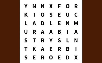  کلمه پنهان شده در این جدول حروف را در 6 ثانیه پیدا کنید