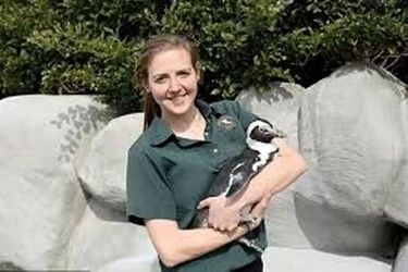 فیلم خواستگاری پنگوئن از یک دختر جوان