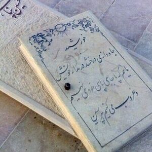 قابی تلخ از تابوت حسین پناهی/ عکس