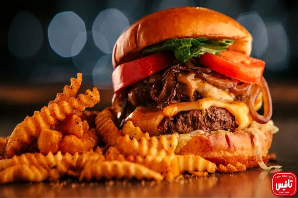 همبرگر از نیم میلیون تومان بالاتر رفت/ رونمایی از یک ساندویچ ارزان رقیب فلافل