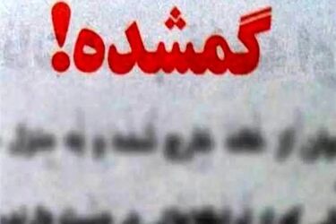 ۳روز است کسی از سلنای سه ساله خبر ندارد/ عکس