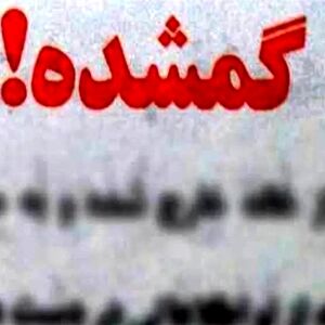 ۳روز است کسی از سلنای سه ساله خبر ندارد/ عکس