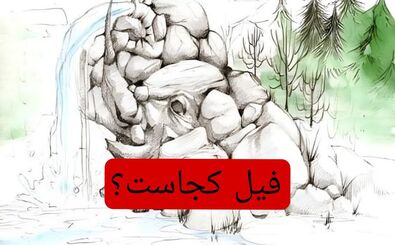 فیل را پیدا کنید