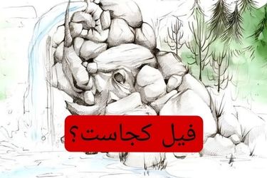 فیل را پیدا کنید