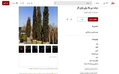 اجاره درخت؛ راه جدید برای پایان کار ساخت‌وسازها/ درخت‌کُشی‌ها آسان‌تر هم شد 
