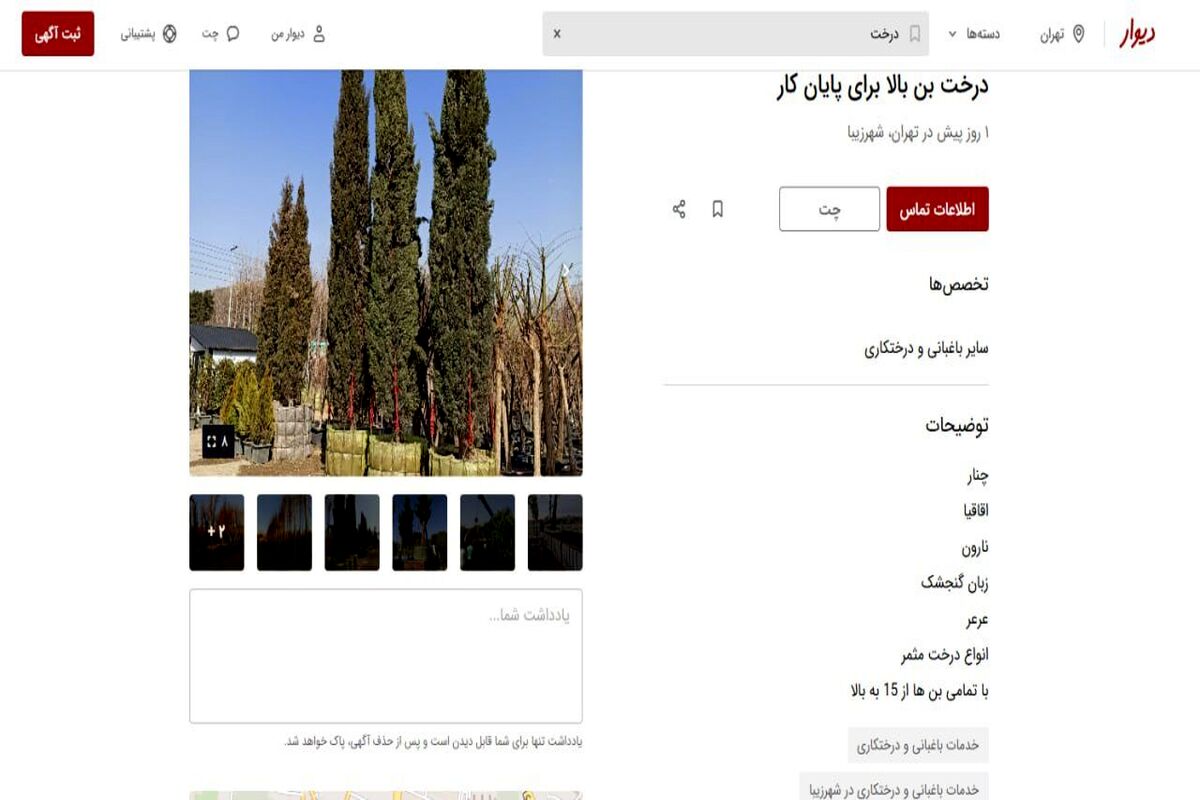 اجاره درخت؛ راه جدید برای پایان کار ساخت‌وسازها/ درخت‌کُشی‌ها آسان‌تر هم شد 
