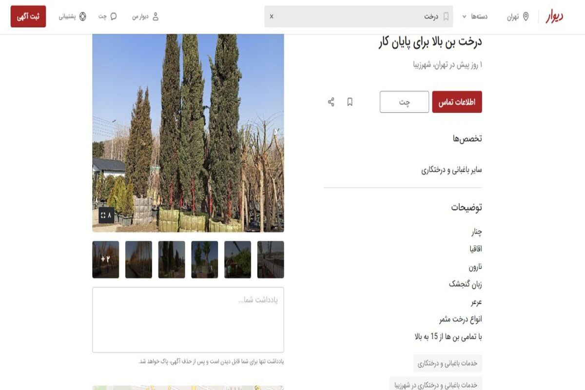 اجاره درخت؛ راه جدید برای پایان کار ساخت‌وسازها/ درخت‌کُشی‌ها آسان‌تر هم شد 
