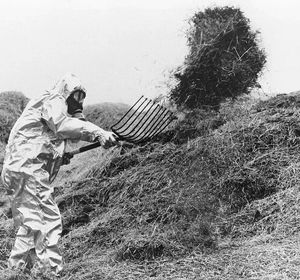 چرا پاک‌سازی چرنوبیل پایانی ندارد؟