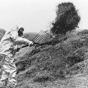 چرا پاک‌سازی چرنوبیل پایانی ندارد؟