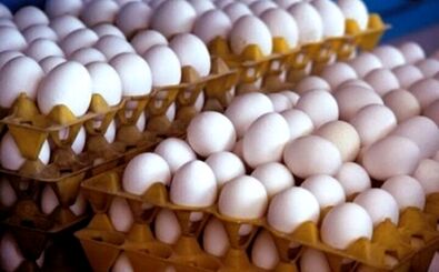 قیمت جدید تخم‌مرغ اعلام شد