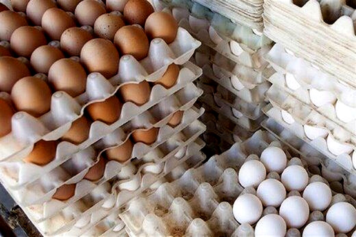با ۵۰۰ هزار تومان در ماه های گذشته چند شانه تخم مرغ می‌توانستیم بخریم؟/ اینفوگرافی