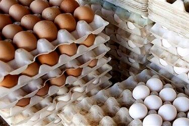 با ۵۰۰ هزار تومان در ماه های گذشته چند شانه تخم مرغ می‌توانستیم بخریم؟/ اینفوگرافی