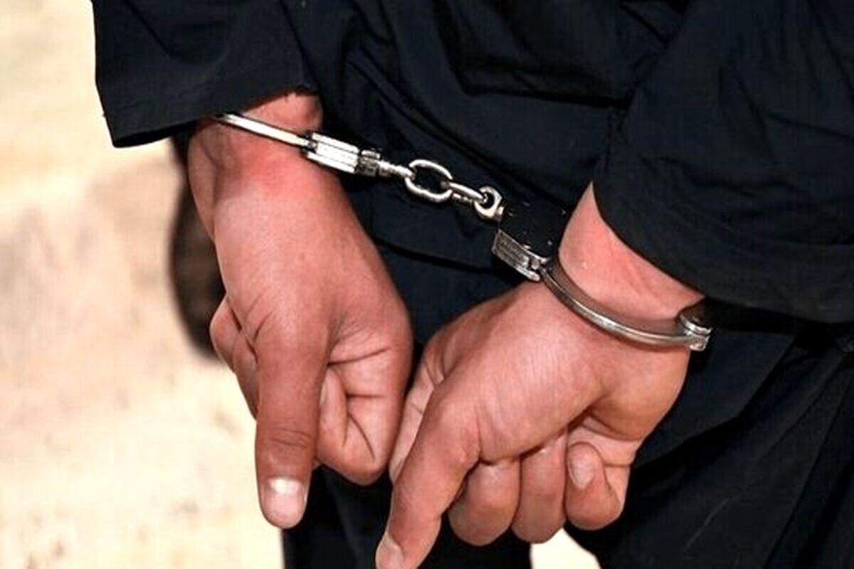 عامل آتش‌سوزی جنگل های هیرکانی دستگیر شد
