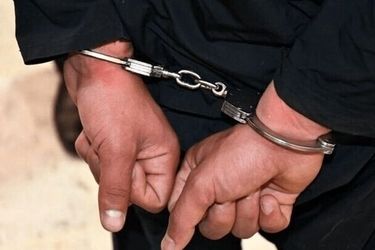 عامل آتش‌سوزی جنگل های هیرکانی دستگیر شد