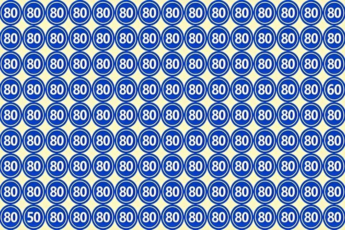 با پیدا کردن اعداد 60 و 50 میان اعداد 80 تیزبینی خود را ثابت کنید!
