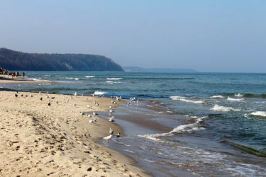 لب دریا پولی می‌شود؟