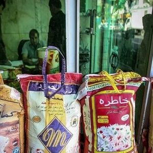 برنج به کیلویی ۶۰۰ هزار تومان هم نزدیک شد