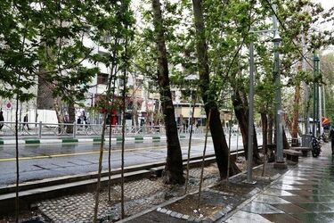 این خیابان معروف تهران پر از درخت میوه است