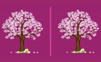 3 تفاوت را در این دو تصویر پیدا کنید؟