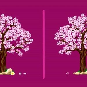 3 تفاوت را در این دو تصویر پیدا کنید؟