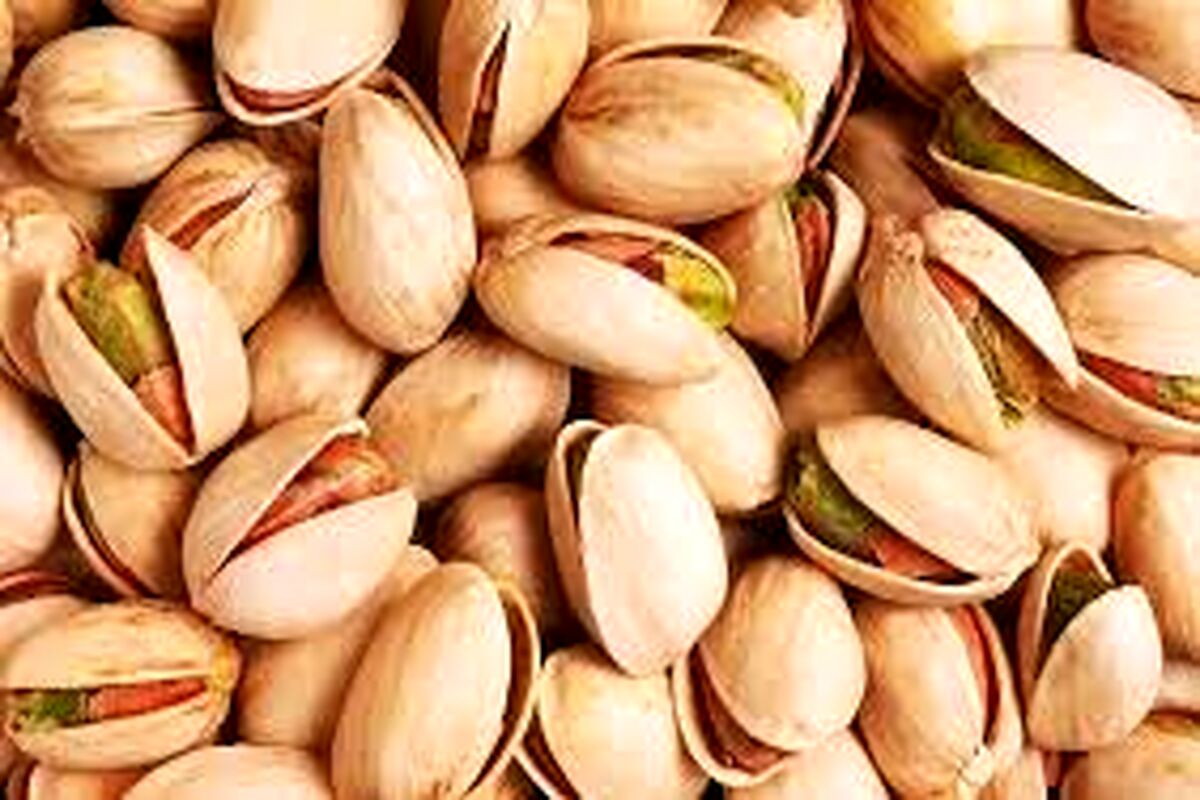  قطع اینترنت حتی بر قیمت‌ پسته وصادرات آن هم اثر گذاشته است