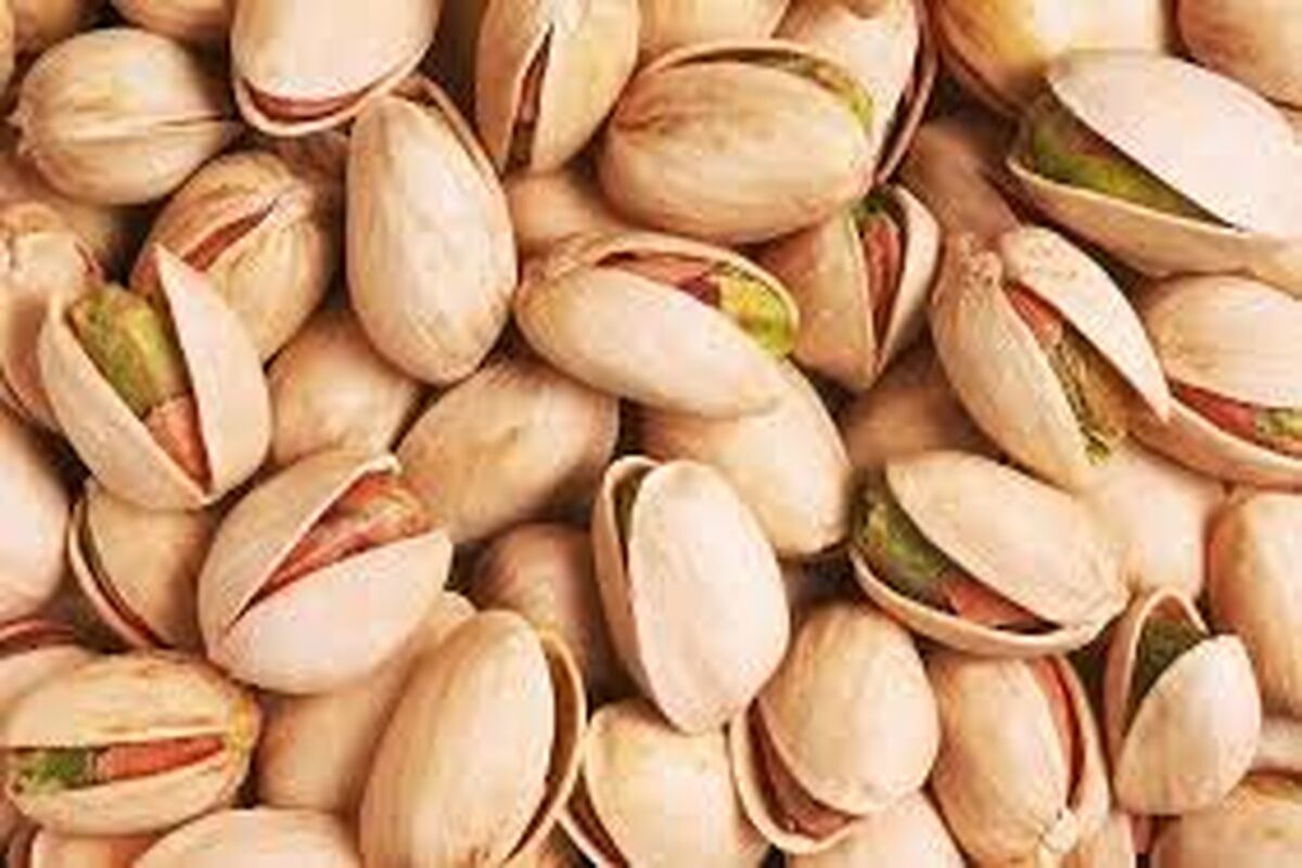  قطع اینترنت حتی بر قیمت‌ پسته وصادرات آن هم اثر گذاشته است
