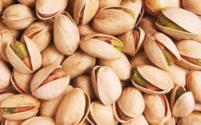  قطع اینترنت حتی بر قیمت‌ پسته وصادرات آن هم اثر گذاشته است