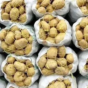 در میانه جنگ، وضعیت سیب‌زمینی کاملا جنگی شد!