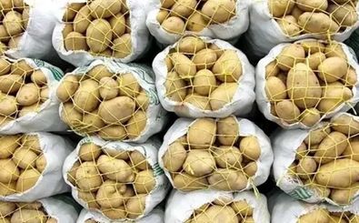 در میانه جنگ، وضعیت سیب‌زمینی کاملا جنگی شد!