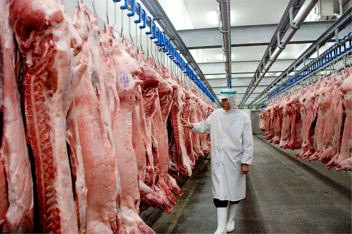 اطلاعیه تغییر مبداء ثبت سفارش فعال گوشت منجمد

