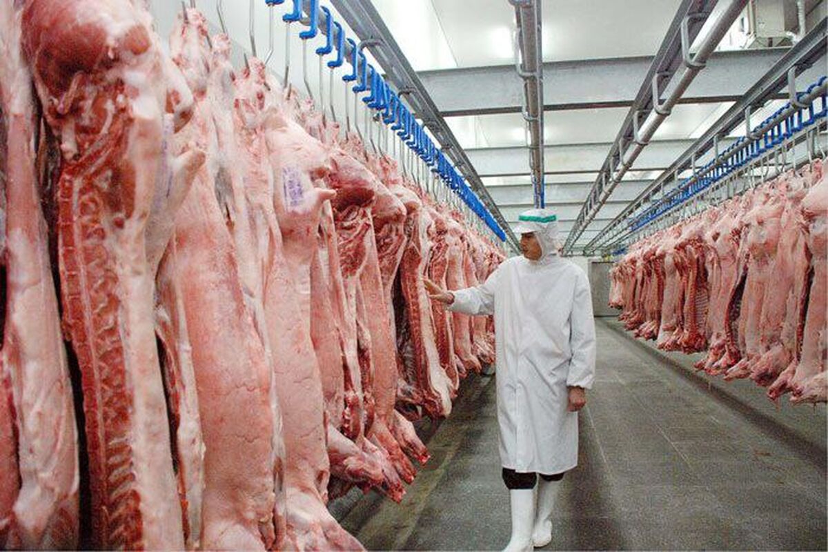 اطلاعیه تغییر مبداء ثبت سفارش فعال گوشت منجمد

