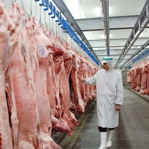 اطلاعیه تغییر مبداء ثبت سفارش فعال گوشت منجمد

