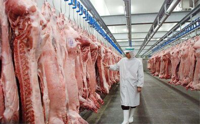 اطلاعیه تغییر مبداء ثبت سفارش فعال گوشت منجمد

