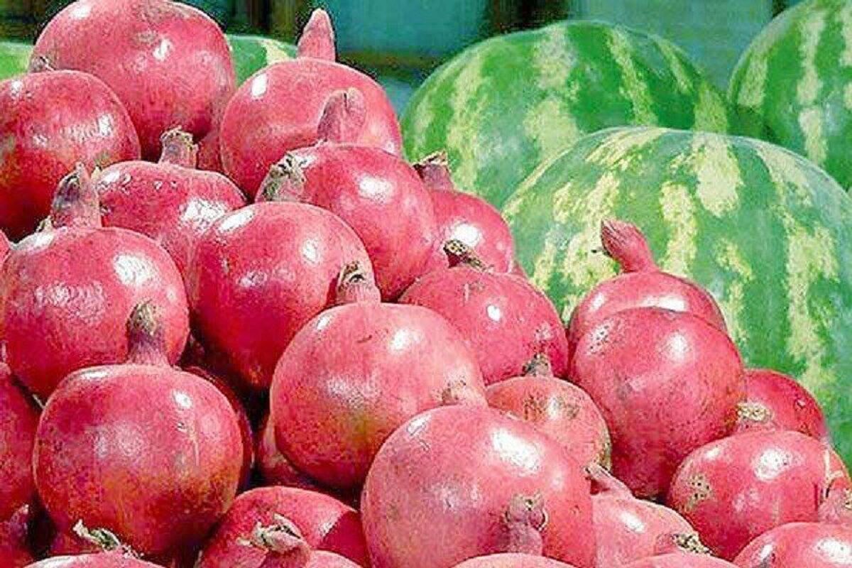 قیمت جدید میوه شب یلدا اعلام شد