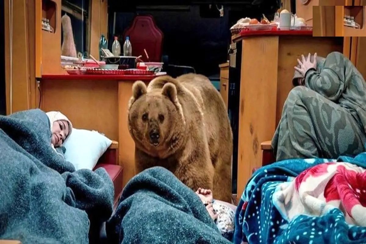 سیروس مقدم درباره خرس سریال پایتخت: نخواستیم ضربه روحی به خرس وارد شود با عزت و احترام با حیوان برخورد کردیم